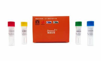 高致病性藍(lán)耳JXA1-R疫苗株檢測試劑盒（實(shí)時熒光PCR法）